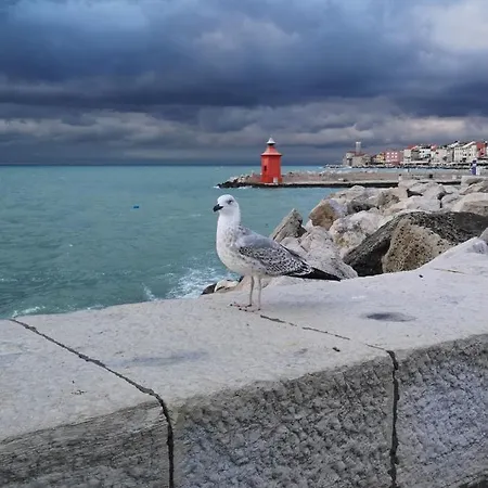 Sunset Lägenhet Piran
